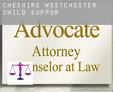 Cheshire West and Chester  child support