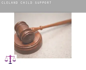 Cleland  child support