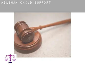 Mileham  child support