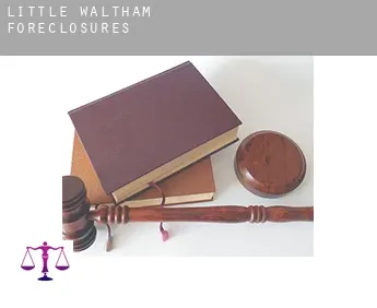 Little Waltham  foreclosures