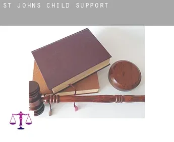 St. John's  child support