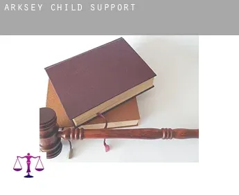 Arksey  child support