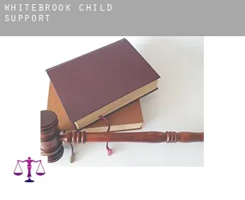 Whitebrook  child support