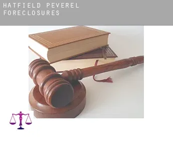 Hatfield Peverel  foreclosures