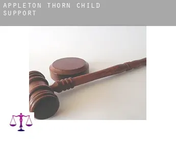 Appleton Thorn  child support
