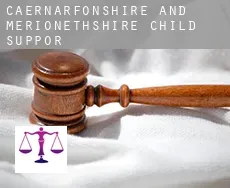 Caernarfonshire and Merionethshire  child support