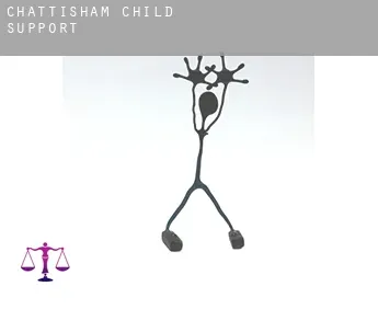 Chattisham child support