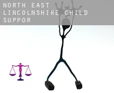 North East Lincolnshire  child support