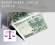Shropshire  child support