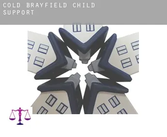 Cold Brayfield  child support