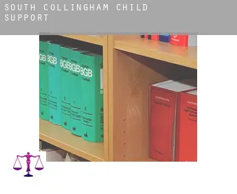 South Collingham  child support