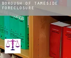 Tameside (Borough)  foreclosures