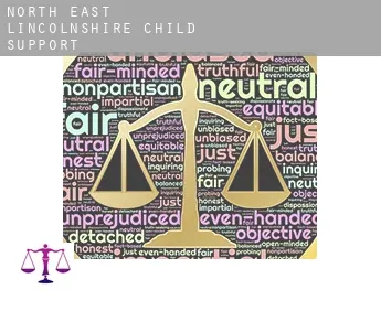 North East Lincolnshire  child support