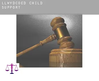 Llwydcoed  child support