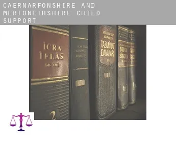 Caernarfonshire and Merionethshire  child support
