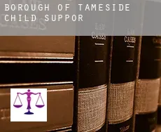 Tameside (Borough)  child support