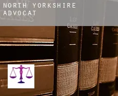 North Yorkshire advocate