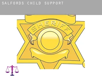 Salfords  child support