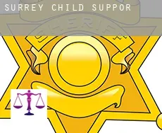 Surrey  child support