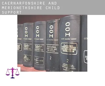 Caernarfonshire and Merionethshire  child support