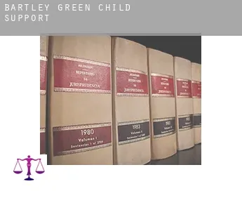 Bartley Green  child support