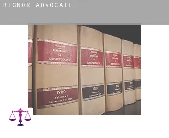 Bignor  advocate