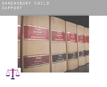 Shrewsbury  child support