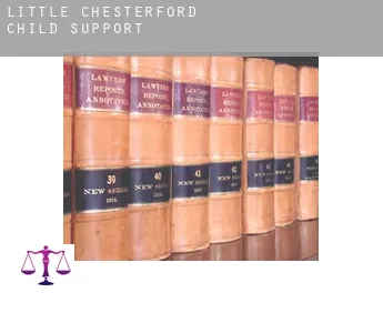 Little Chesterford  child support
