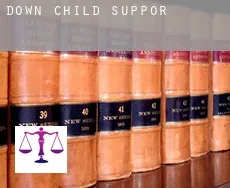 Down  child support
