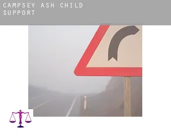 Campsey Ash  child support