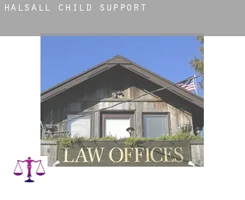 Halsall  child support