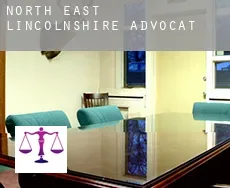 North East Lincolnshire  advocate