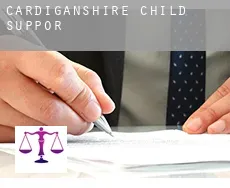 Cardiganshire County  child support