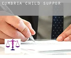 Cumbria  child support