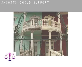 Amcotts  child support