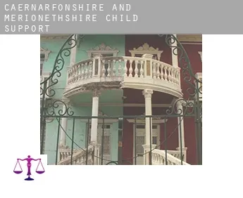 Caernarfonshire and Merionethshire  child support
