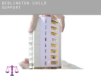 Bedlington  child support