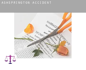 Ashsprington  accident
