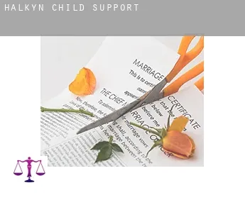 Halkyn  child support