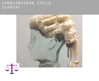 Cambusbarron  child support