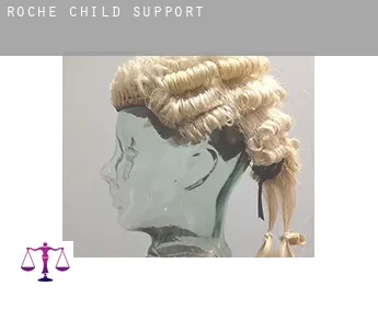 Roche  child support