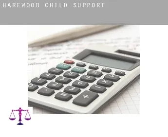 Harewood  child support