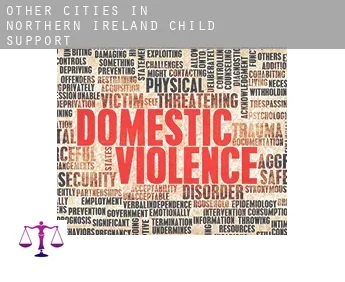 Other cities in Northern Ireland  child support